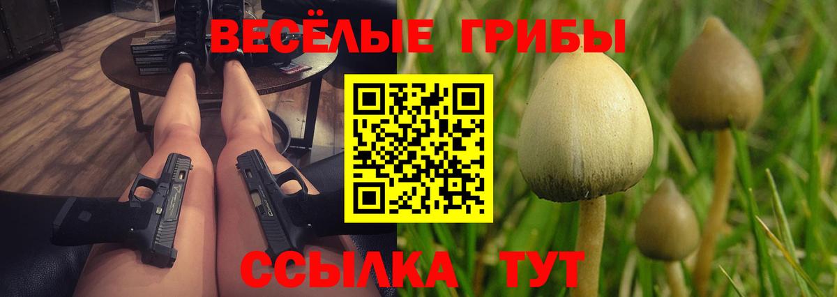Галлюциногенные грибы Cubensis  Вход с VPN  Удомля 